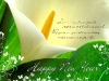 New_Year_wallpapers_Congratulations_to_the_New_Year_011351_.jpg