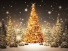 New_Year_wallpapers_Christmas_forest_011575_.jpg