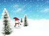 New_Year_wallpapers_Snowman_011553_.jpg